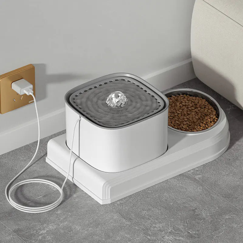 Automatic water dispenser for dogs and cats